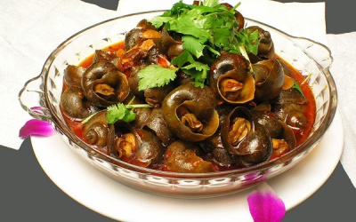 Mẹo chọn và chế biến ốc ngon