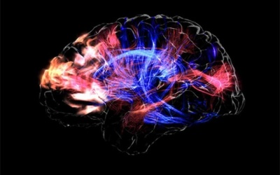 Bộ não - những điều khoa học chưa thể giải thích (Phần I)