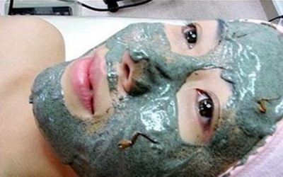 Làm đẹp bằng gián đất - nhiều nguy cơ tiềm ẩn