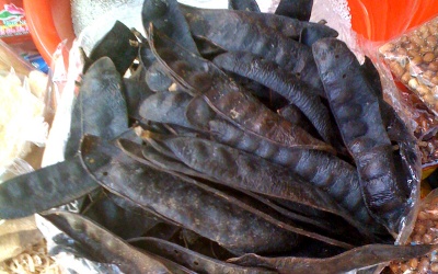 Xông quả bồ kết chữa sởi hiệu quả