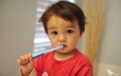 Chăm sóc trẻ bị viêm nướu răng