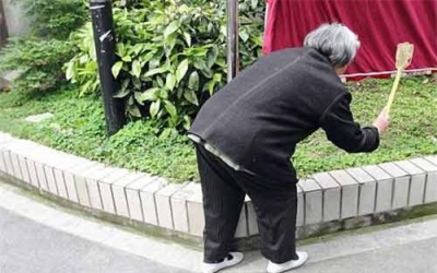 Cụ bà 80 tuổi được vinh danh... 'anh hùng diệt ruồi'