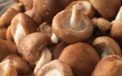 Nấm giúp chống ung thư cổ tử cung