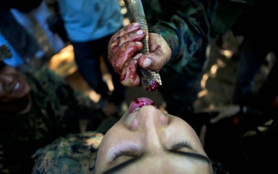 Nhắm mắt ăn lấy 'khỏe'