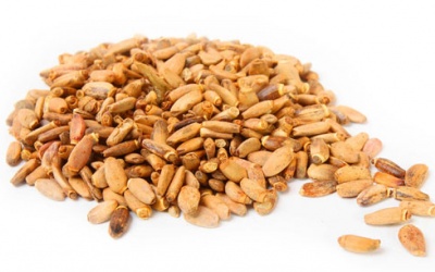 Giữ gan từ khi còn khỏe