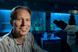 'Cải lão hoàn đồng' bằng cách... thay máu