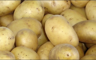Lợi ích thiết thực của khoai tây
