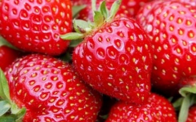 10 loại quả chống lại bệnh ung thư