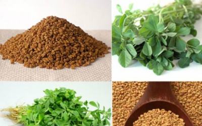 Bài thuốc tự nhiên trị tiểu đường