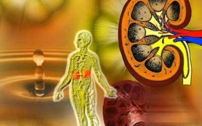 Nguyên tắc vàng phòng ngừa suy thận mạn