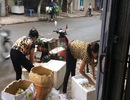 Rửa đào bằng nước xà phòng: Bỏ qua sức khỏe người mua?