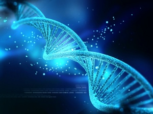 DNA nhân tạo khiến giới khoa học đau đầu