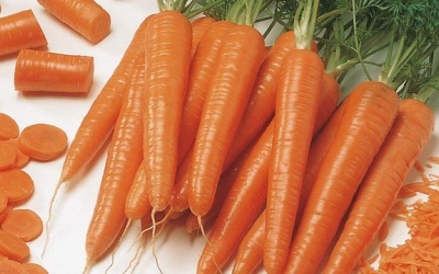 11 thực phẩm tuyệt đối không được cho vào lò vi sóng