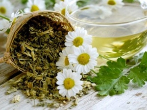 Cẩm nang làm đẹp tóc nhờ thảo mộc