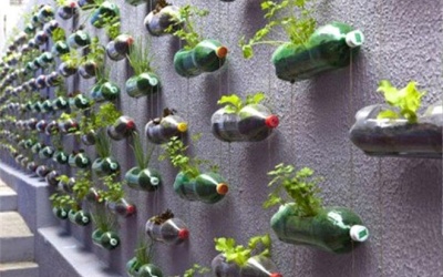 Nhà nhỏ vẫn có thể 'xanh'