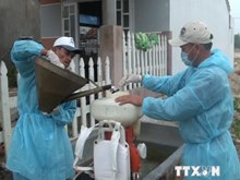 Đi tìm giải pháp loại trừ sốt xuất huyết'
