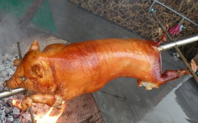 Hấp dẫn món heo sọc dưa săn giòn...