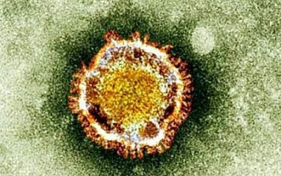 Tìm ra hợp chất tiêu diệt vi rút gây bệnh SARS và MERS