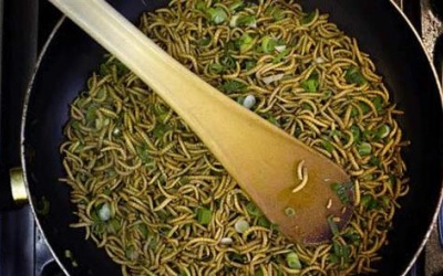 Sâu gạo trong thực đơn của phi hành gia