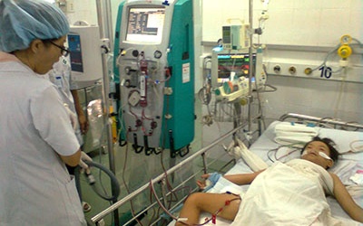 Nghỉ hè, nghịch chơi, trẻ bị ong đốt gây suy gan, suy thận