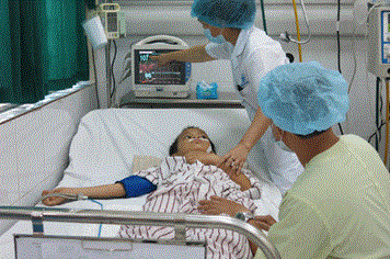 Dịch viêm não Nhật Bản đang có dấu hiệu gia tăng