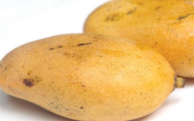 Ích lợi của xoài