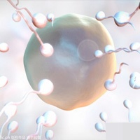 Lợi ích cực tốt của tinh trùng với phụ nữ