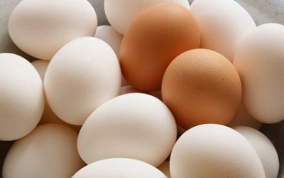 Trứng cũng có thể gây dị ứng