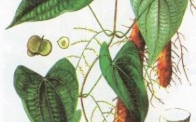 Ðàn ông “mãn kinh” ăn gì?