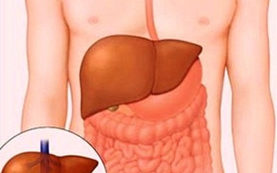 4 dấu hiệu bề ngoài cảnh báo gan bạn có vấn đề nghiêm trọng