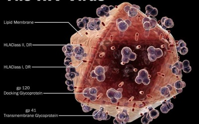 Độ chính xác của kết quả xét nghiệm HIV