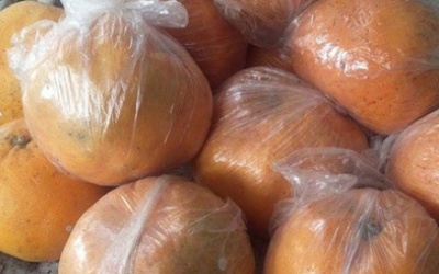 Cam Trung Quốc để quên 2 tháng vẫn tươi nguyên