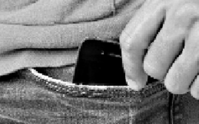 Rau kinh giới giúp bảo vệ tuyến tiền liệt