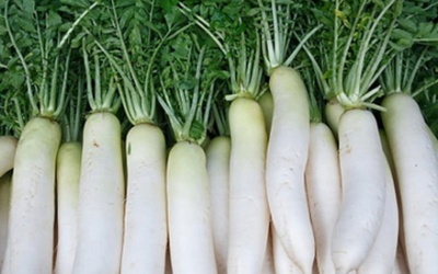 Bài thuốc giải độc, cấp cứu ngộ độc nặng