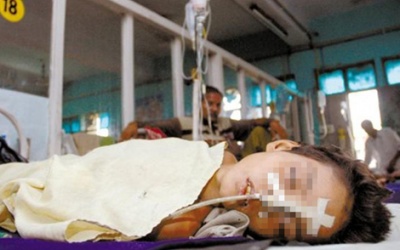 Gia tăng số ca mắc viêm não Nhật bản B