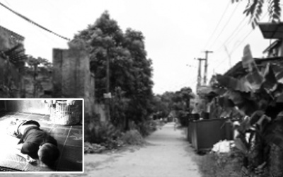 Những đứa trẻ sinh ra đã mang chì trong máu