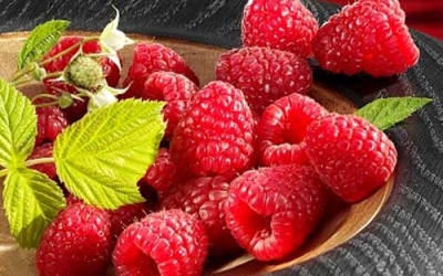 Ngừa ung thư đại tràng