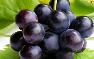 Ăn nho cùng hoặc gần lúc với 3 thực phẩm sau rất nguy hiểm