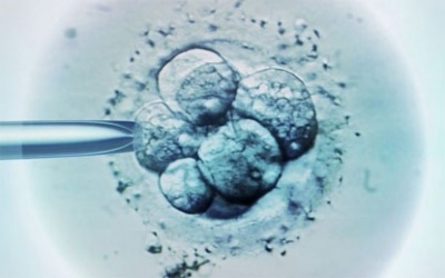 Thử nghiệm mới giúp tăng tỉ lệ thành công thụ tinh trong ống nghiệm