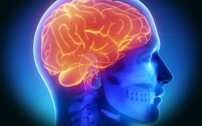 Những nhận thức sai về não bộ