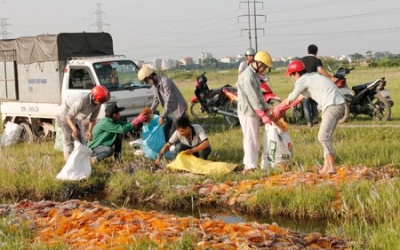 Bắt quả tang doanh nghiệp đổ trộm hàng nghìn hộp thuốc hỏng ra ruộng
