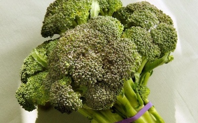 Súp lơ xanh giúp bệnh nhân hen suyễn dễ thở hơn
