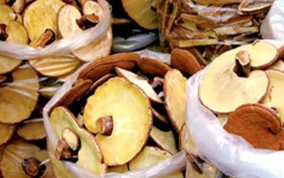 TPHCM: Kiểm soát dược liệu cổ truyền