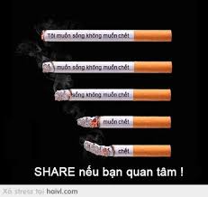 Mỗi năm, người Việt Nam tiêu thụ hơn 4 tỷ bao thuốc lá