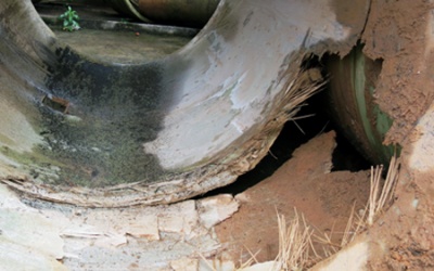 Có hay không “bất thường” trong sự mạnh dạn đi đầu của Vinaconex?