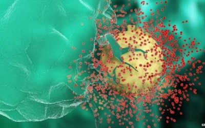 Dịch bệnh AIDS có thể được kiểm soát vào năm 2030