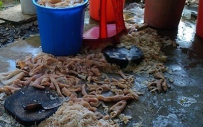 Xử phạt và đình chỉ hoạt động cơ sở sản xuất nem bẩn