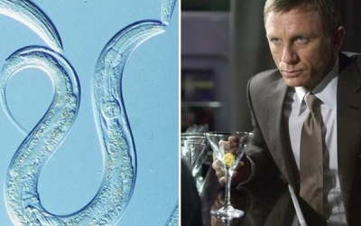 Phát triển loại thuốc mới giúp chống say rượu