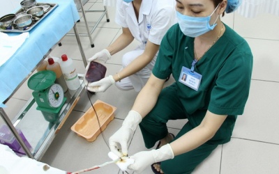 Hàng trăm mẫu tế bào gốc máu cuống rốn được lưu trữ miễn phí