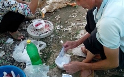 Cận cảnh hãm tiết vịt bằng chậu và bột “lạ“ (Kỳ II)